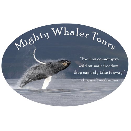 Car Magnet - Oval - 3-1/2" x 5" Main Image