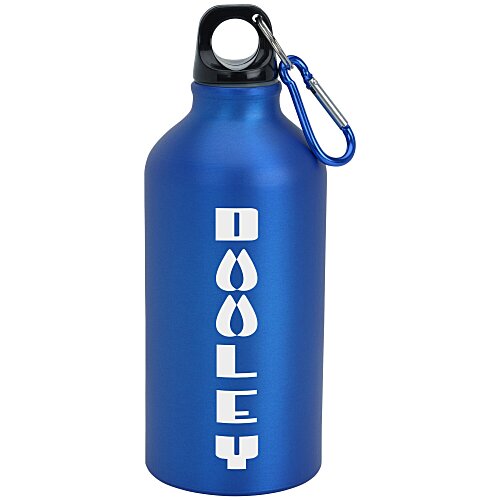 Aluminum Water Bottle with Carabiner - 16 oz - Matte Main Image
