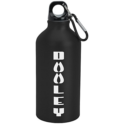 Aluminum Water Bottle with Carabiner - 16 oz - Matte - 24 hr Main Image
