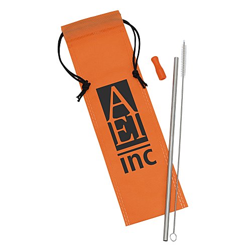 Stainless Steel Straw Set Main Image