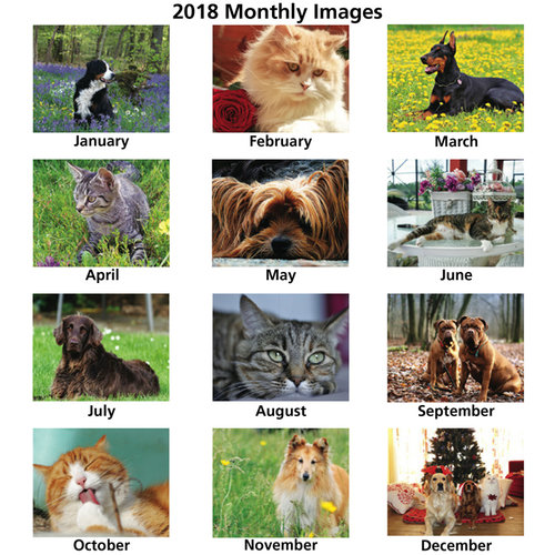 Additional Image 1 - a collage of pictures of animals