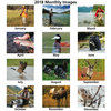 View Image 2 of 2 of Sportsman Appointment Calendar
