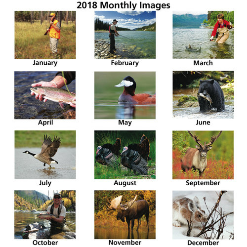 Additional Image 1 - a collage of pictures of people
