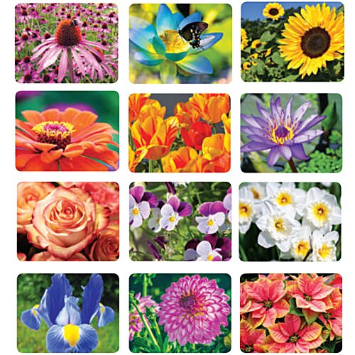 Floralies Appointment Calendar - French/English Image 1 of 1