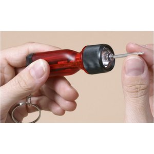 Additional Image 2 - a person holding a small red object