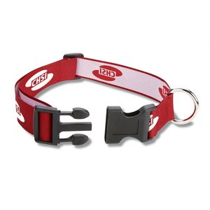 Additional Image 1 - a red and white collar