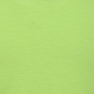 Additional Image 1 - a green wall with a white stripe