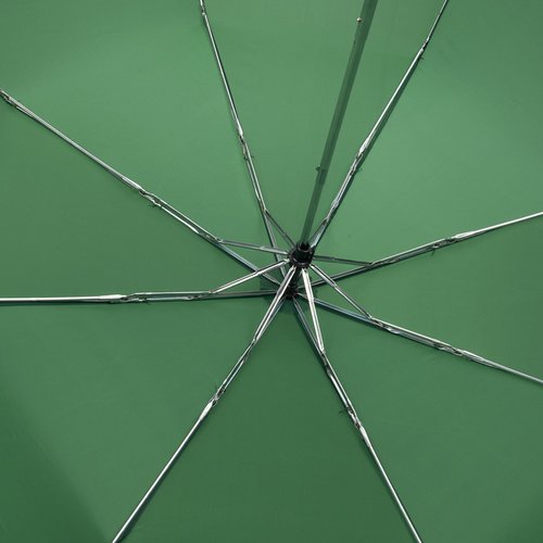 Additional Image 2 - a green umbrella with a green center