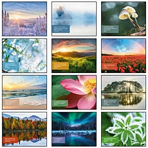 Additional Image 1 - a collage of images