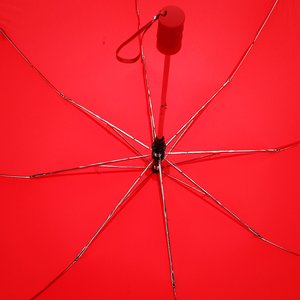 Additional Image 1 - a spider on a red umbrella