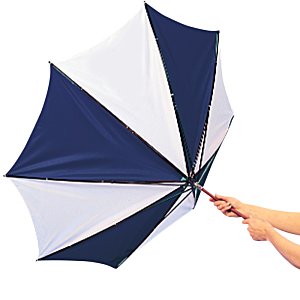 Additional Image 3 - a person holding an umbrella