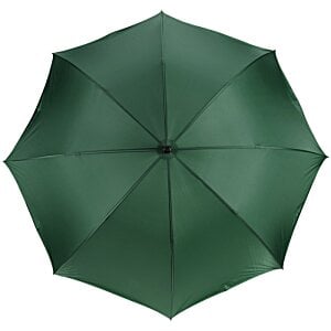 Additional Image 4 - a green umbrella with a black handle