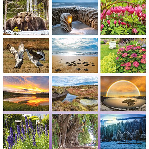 Additional Image 1 - a collage of images