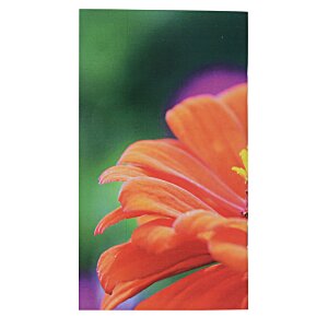 Additional Image 2 - a close up of a flower