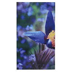 Additional Image 2 - a close up of a bird