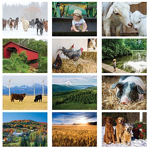 Additional Image 1 - a collage of images