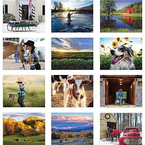 Additional Image 1 - a collage of images