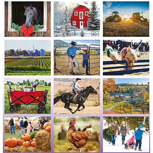 Additional Image 1 - a collage of images of farm animals
