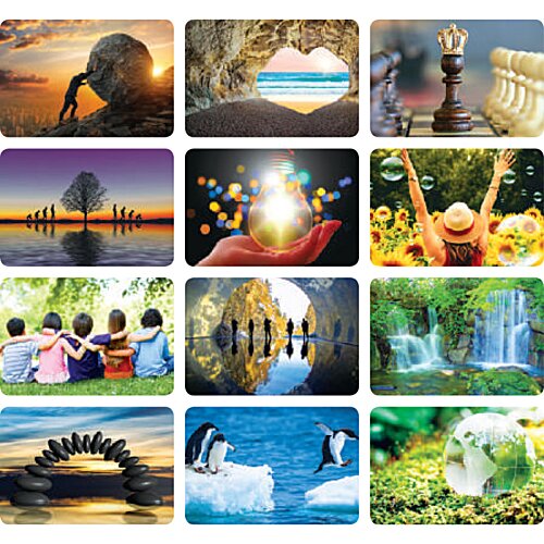 Additional Image 4 - a collage of images