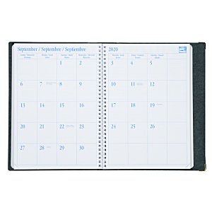 Additional Image 2 - a white calendar with blue dots