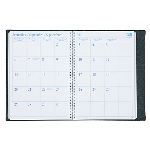 Additional Image 2 - a white calendar with blue dots