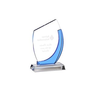 Additional Image 1 - a blue and white award