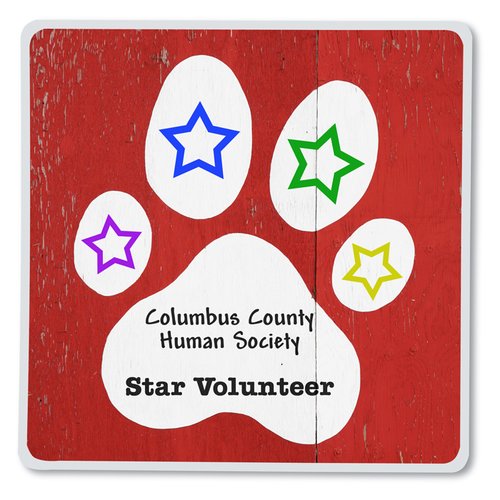 Additional Image 1 - a red square with white paw print and stars