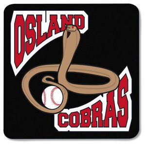 Additional Image 1 - a logo of a baseball team