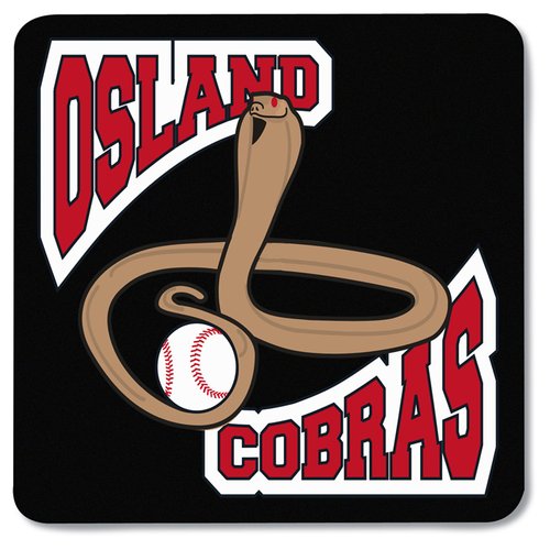 Additional Image 1 - a logo of a baseball team