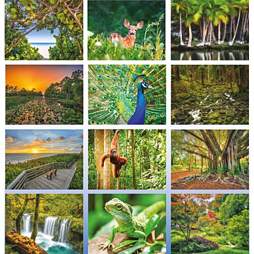 Go Green Appointment Calendar Image 1 of 1