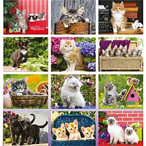 Additional Image 1 - a collage of cats