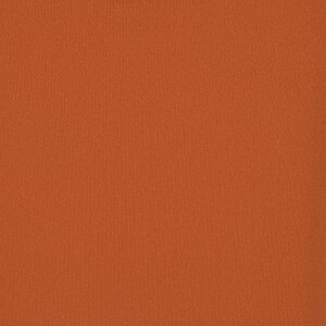 Additional Image 2 - a red wall with a black border