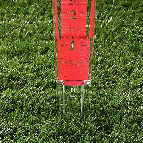 Magnifying Rain Gauge Image 1 of 1