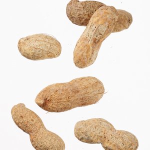 Additional Image 1 - a group of peanuts on a white background