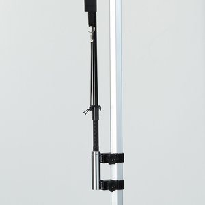 Additional Image 1 - a black and white pole