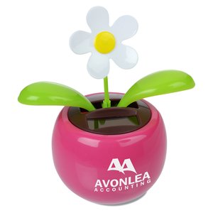 Additional Image 1 - a flower in a pot
