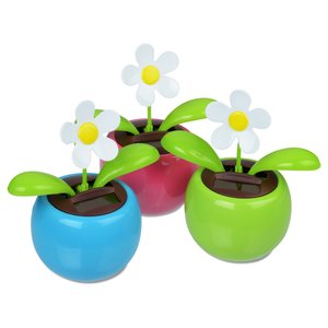 Additional Image 2 - a group of small potted plants