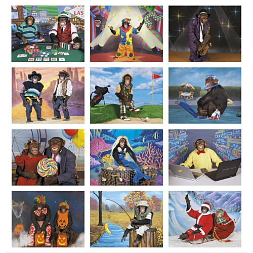 Additional Image 1 - a collage of images of people
