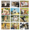 View Image 2 of 3 of Puppies & Kittens Appointment Calendar - Spiral