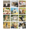 View Image 2 of 3 of Puppies & Kittens Appointment Calendar - Mini