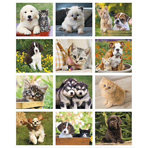 Additional Image 1 - a collage of dogs