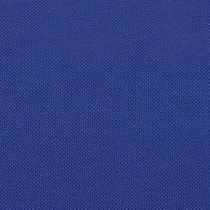 Additional Image 2 - a blue surface with white text