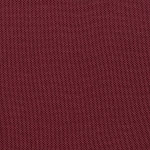 Additional Image 2 - a red surface with a white stripe