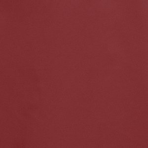 Additional Image 3 - a red surface with a white stripe
