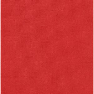 Additional Image 2 - a red rectangular object with a white border