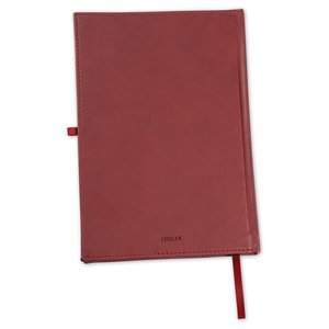 Additional Image 2 - a red rectangular object with a stick