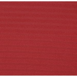 Additional Image 2 - a red surface with white lines