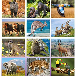 Additional Image 1 - a collage of different animals