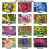 View Image 2 of 2 of Blooming Flowers Deluxe Wall Calendar