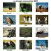 View Image 2 of 2 of Hunting and Fishing Deluxe Wall Calendar - French/ English